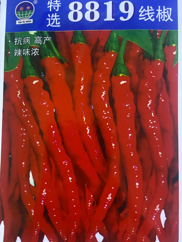 特选线椒辣椒种子