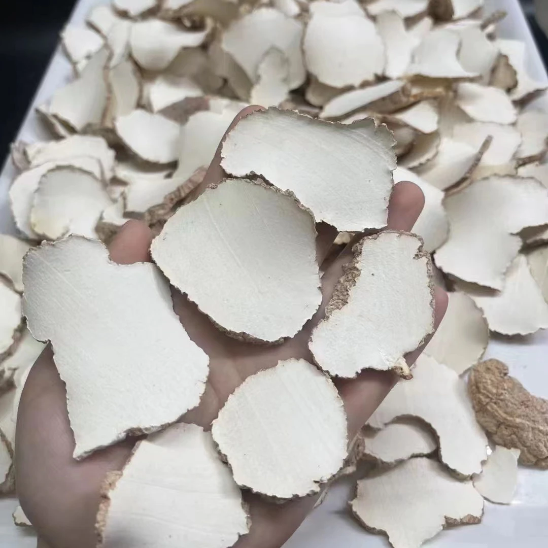 虎乳菌 煲汤靓料 250g