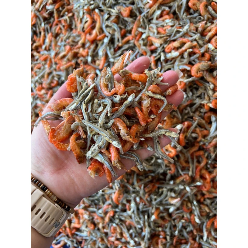 川岛鱼虾仔 爆炒非常正