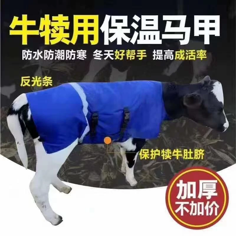 加厚保暖防水小牛马甲牛犊子马甲牛犊保暖服牛犊卫衣柔软舒适