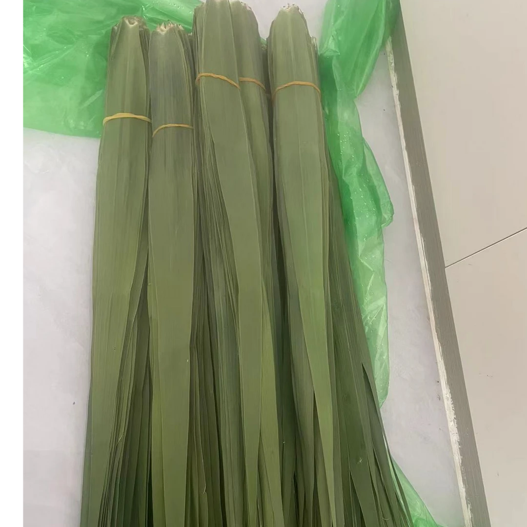 天然野生芦苇粽叶