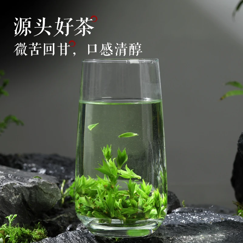 2025年【源头小叶苦丁】耐泡好茶自然高山绿色嫩芽尖茶叶冲泡茶罐装