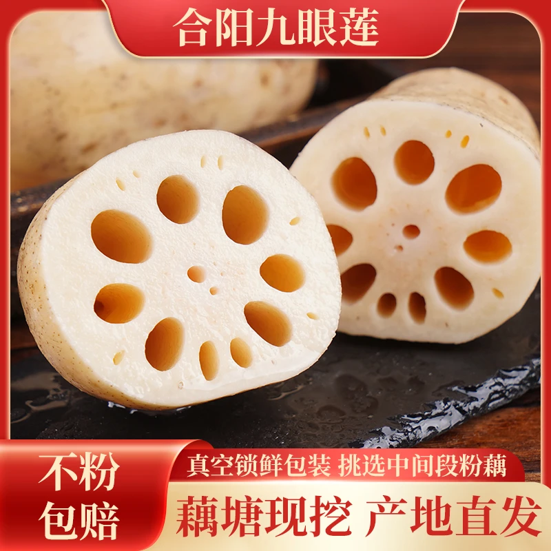 【顺丰包邮】黄河湿地粉糯合阳九眼莲藕地标美食煲汤粉面藕凉拌清脆
