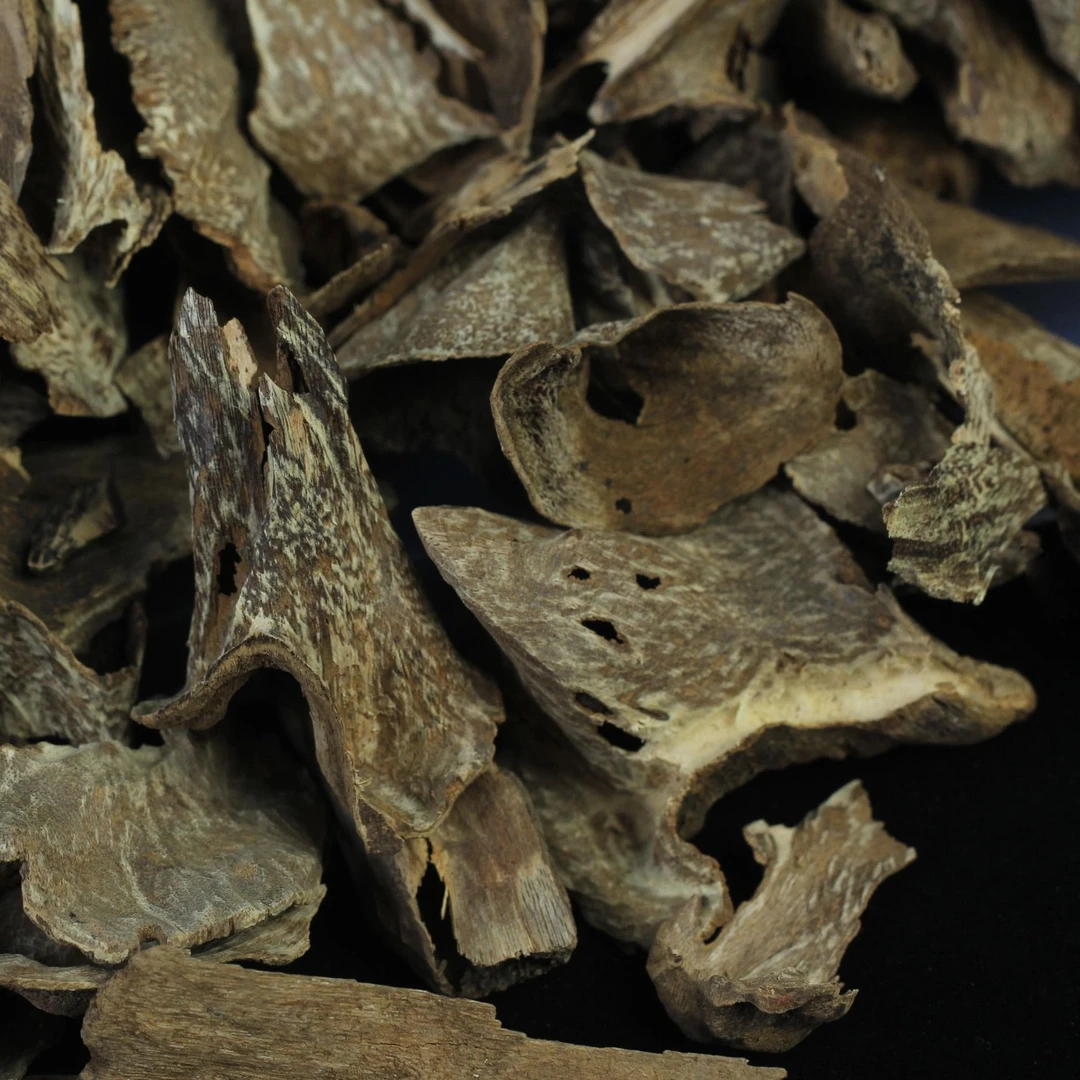 汇安海南【A】沉香原材料包头碎料10克/罐 【颗粒大小不同随机搭配】