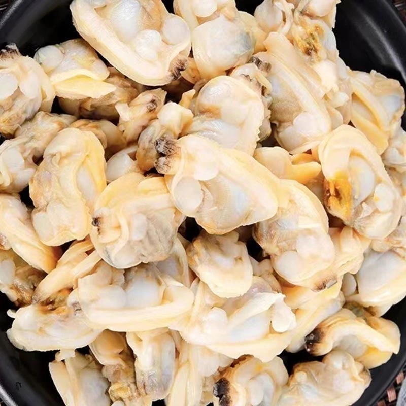 顺丰包邮大号蛤蜊肉无沙花蛤肉花甲肉贝壳肉嘎啦肉新鲜冷冻1斤1包