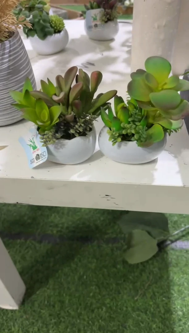 【闪购商品】仿真蝴蝶兰多肉盆栽