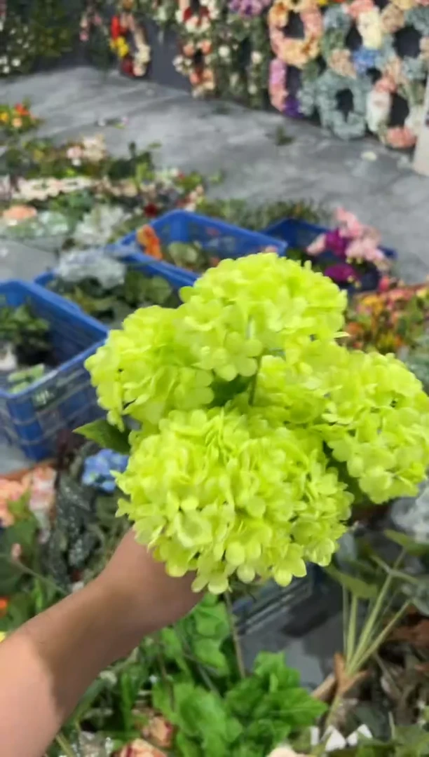 【闪购商品】仿真蝴蝶兰多肉盆栽