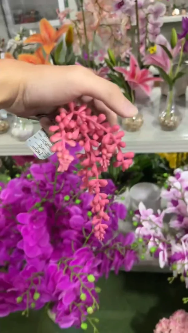 【闪购商品】仿真蝴蝶兰多肉盆栽