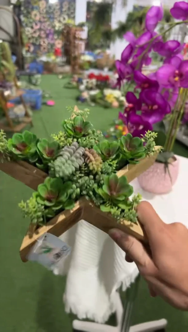 【闪购商品】仿真蝴蝶兰多肉盆栽