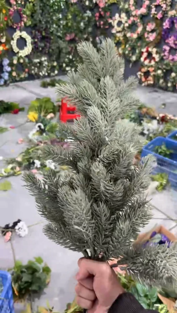 【闪购商品】仿真蝴蝶兰多肉盆栽