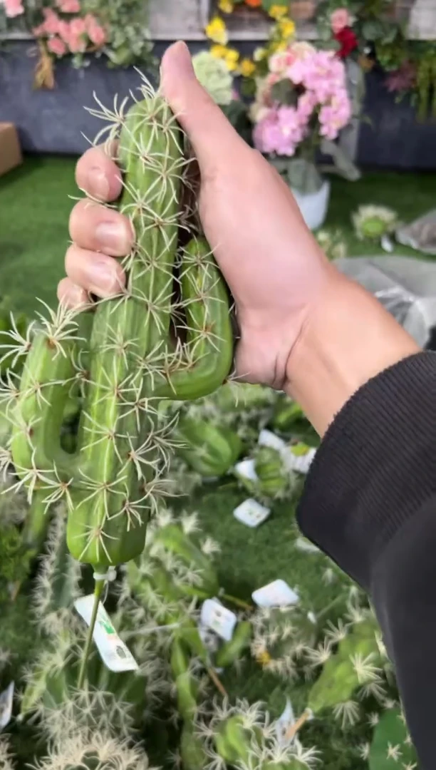 【闪购商品】仿真蝴蝶兰多肉盆栽