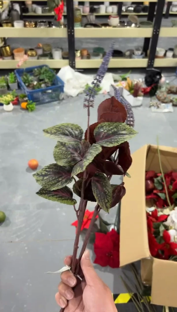 【闪购商品】仿真蝴蝶兰多肉盆栽