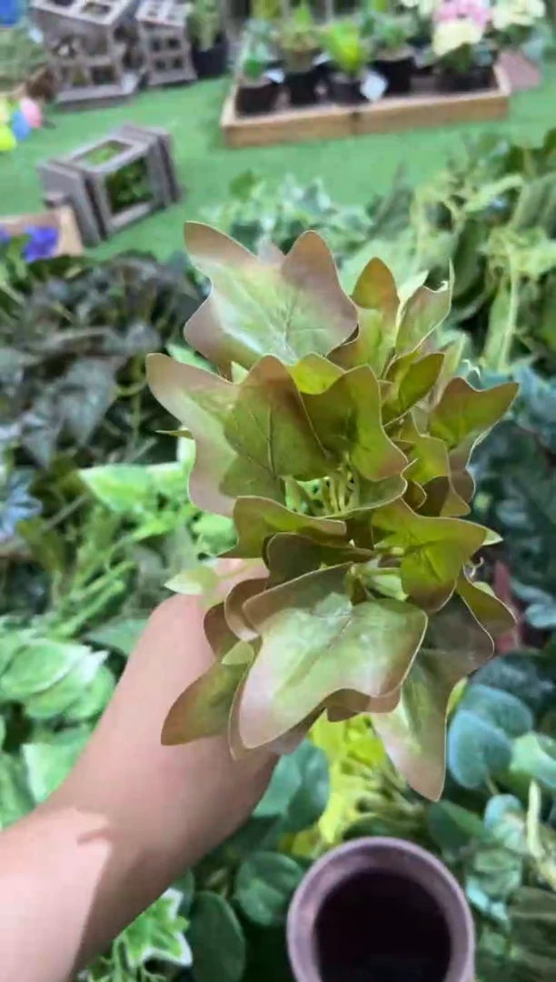 【闪购商品】仿真蝴蝶兰多肉盆栽