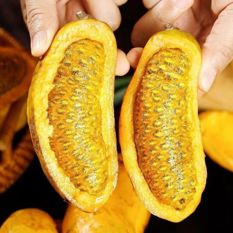 【顺丰包邮】九月黄九月瓜新鲜水果牛卵坨八月瓜野香蕉