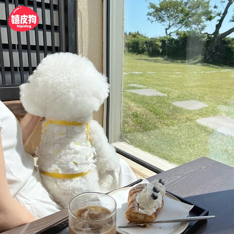 [达人]宠物狗狗立体小花薄款背心博美衣服透气防掉毛小型幼犬8114