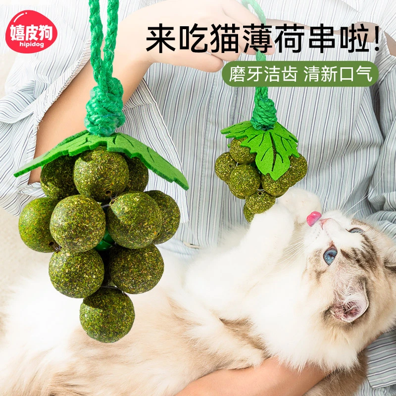 [达人]猫薄荷球猫玩具自嗨解闷逗猫棒耐咬玲珑球磨牙棒用品2779