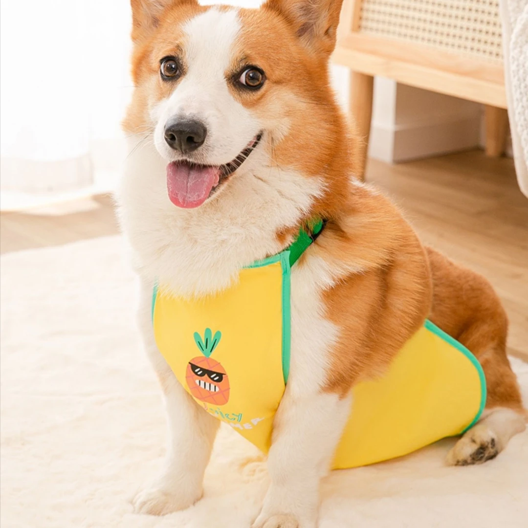 [达人AW]柯基专用肚兜防脏狗狗衣服护肚子防着凉防水神器夏天0028