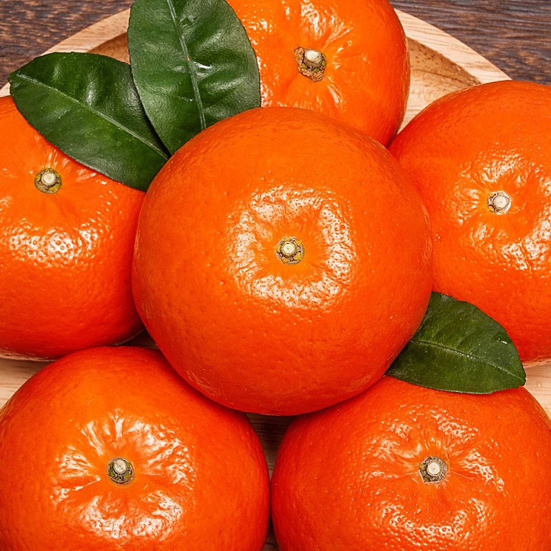 带叶发货广西武鸣沃柑应季水果新鲜采摘新鲜发货 水分多皮薄香甜