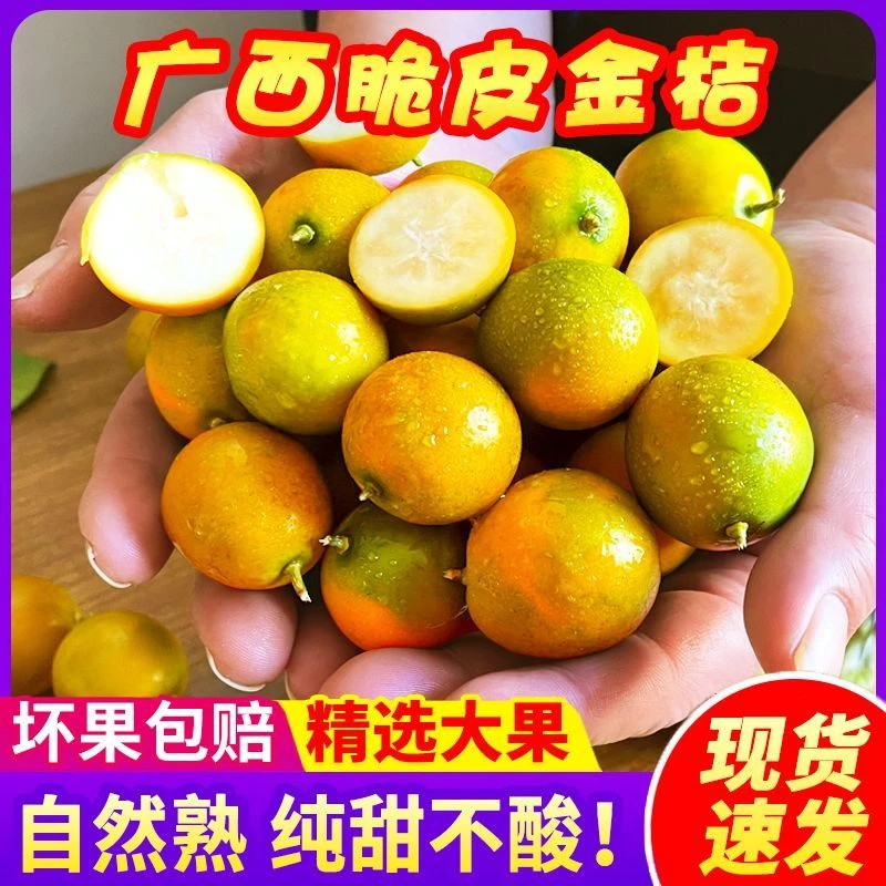 正宗广西融安滑皮金桔  脆皮金桔 脆甜爽口不酸不涩口净重2/3/5斤