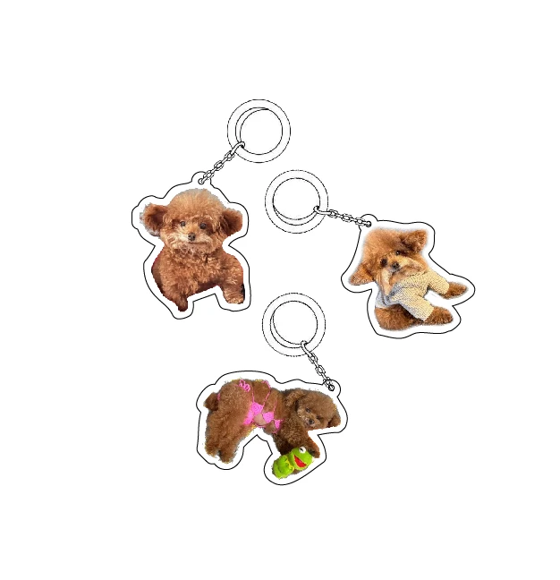 王多多同款钥匙扣