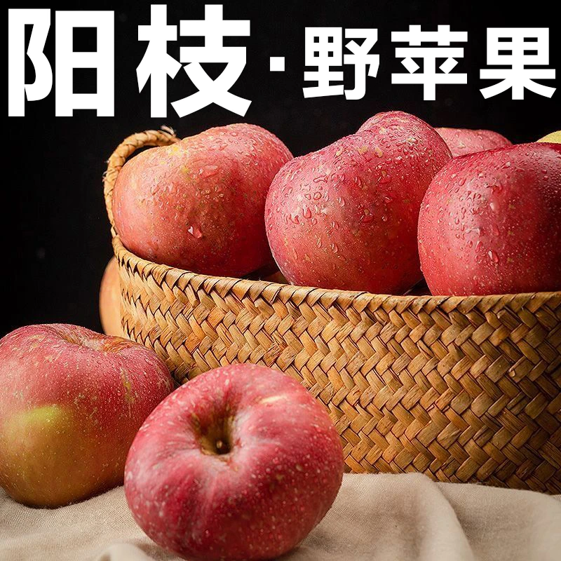 【阳枝野苹果】正宗山东烟台栖霞红富士苹果新鲜当应季水果批发