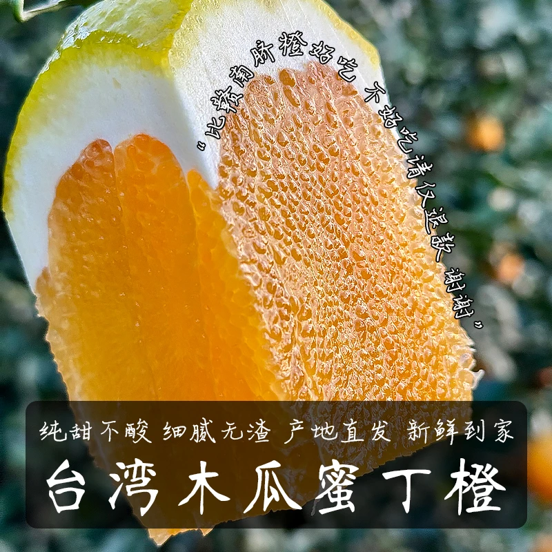 【福建漳州】木瓜蜜丁橙纯甜新鲜橙子多汁无籽无渣营养高原厂地直发