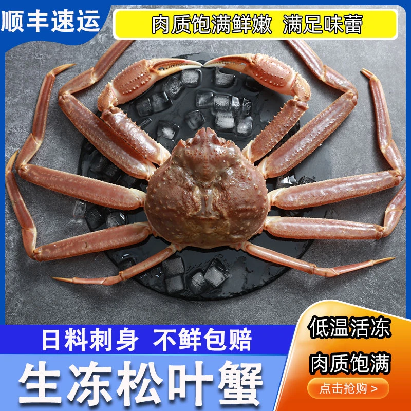 松叶蟹鲜活冷冻长脚蟹特大螃蟹海鲜帝王蟹生冻长腿俄罗斯雪蟹板蟹