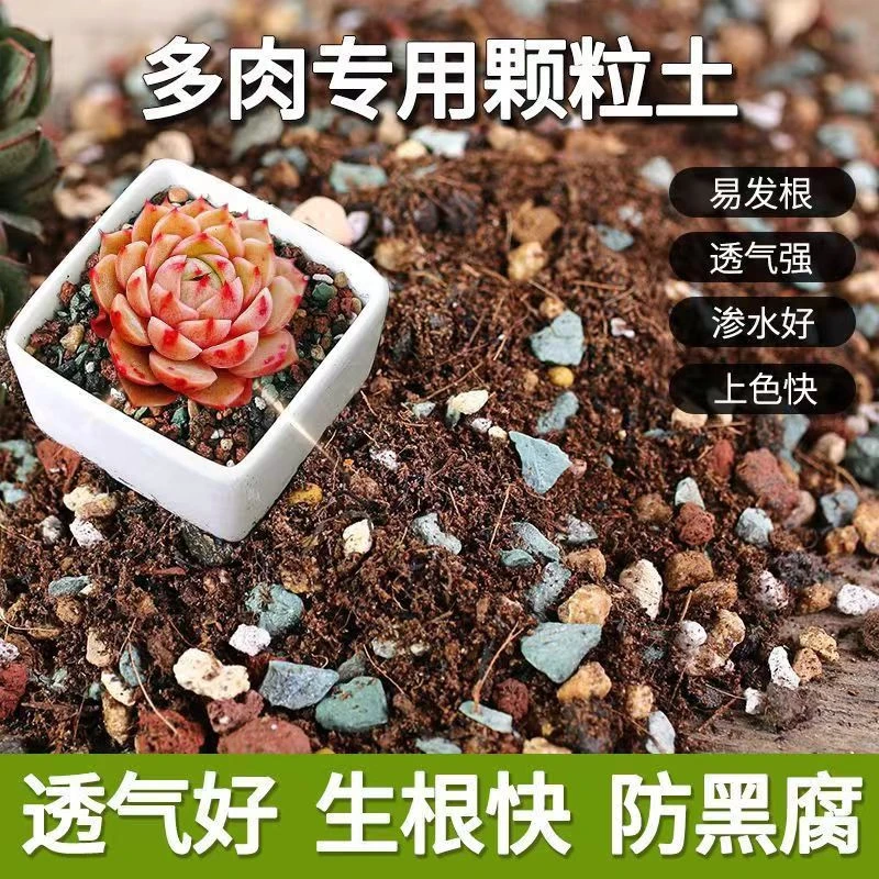 多肉颗粒土多肉专用营养土轻土泥炭土叶插育苗泥炭土麦饭石颗粒土