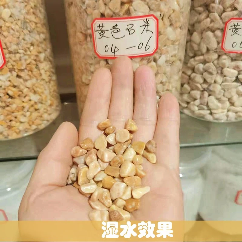 黄色洗米石水磨石水洗石骨料园艺小石头透水路胶粘石庭院水刷石子