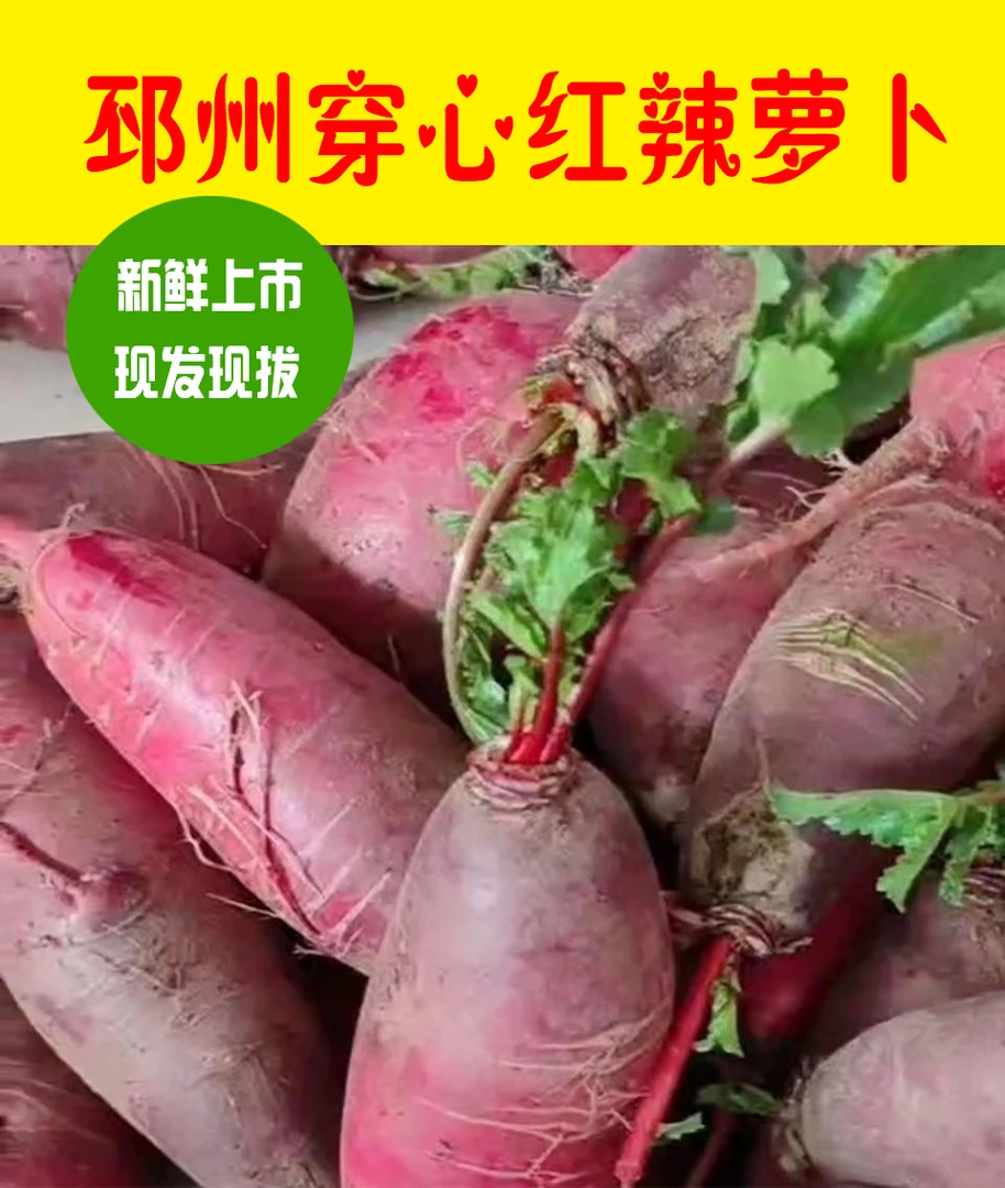 邳州红萝卜，穿心红萝卜，辣萝卜萝卜干，邳州穿心红营养蛋白质