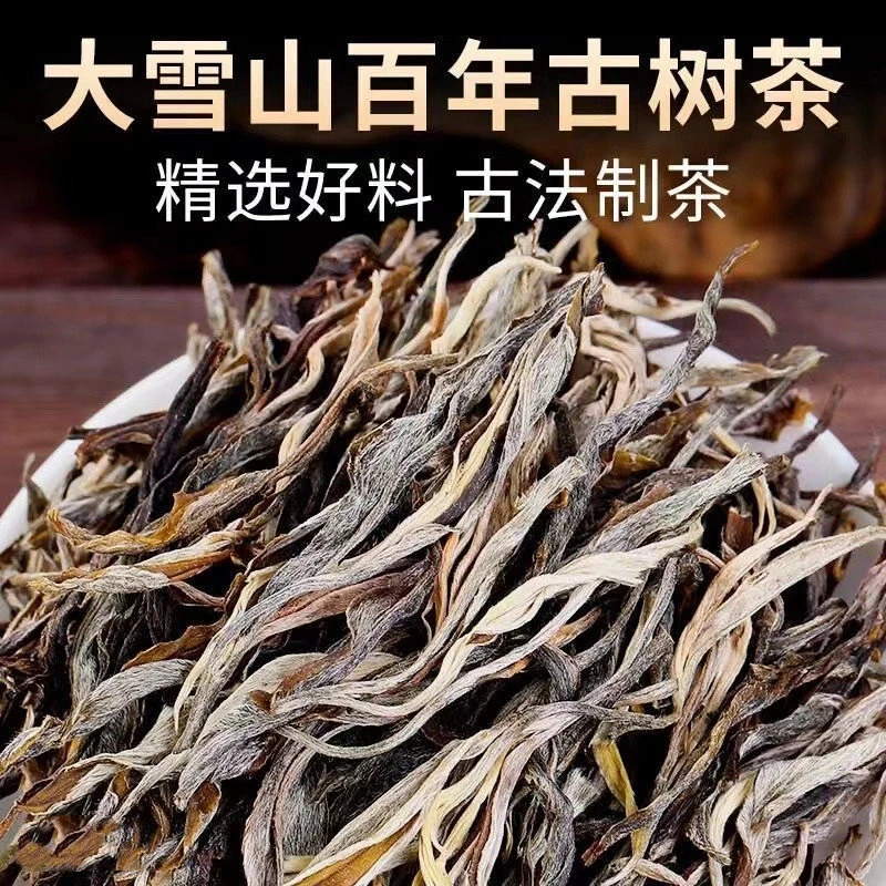 高级普洱茶生茶叶大雪山古树头春云南临沧春茶生普洱茶叶散装正品