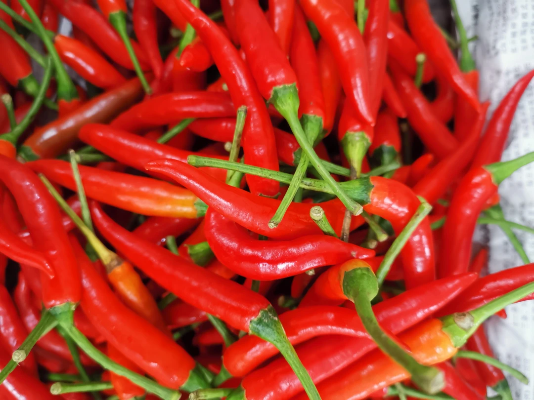 小米椒一级约200克