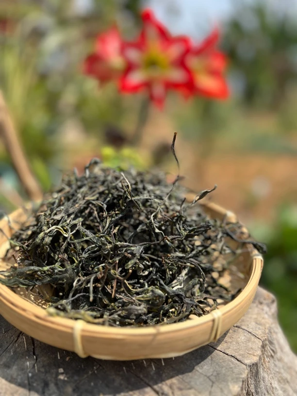 新品【草籽地】23年单株古树头春花香蜜韵