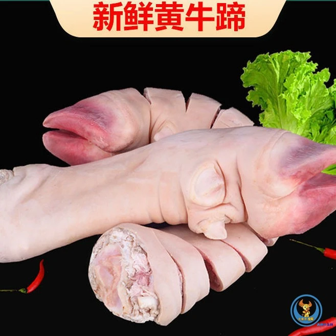 谷饲新鲜牛蹄子5斤起拍红烧 酱卤酱焖火锅牛肉牛排