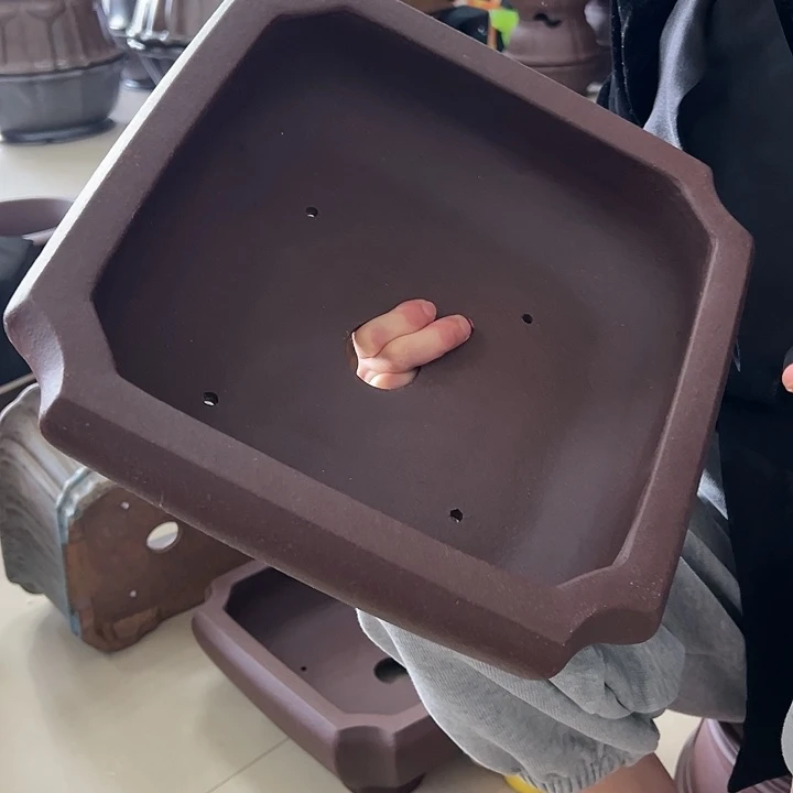 红陶20CM（含）-50CM（不含）云*