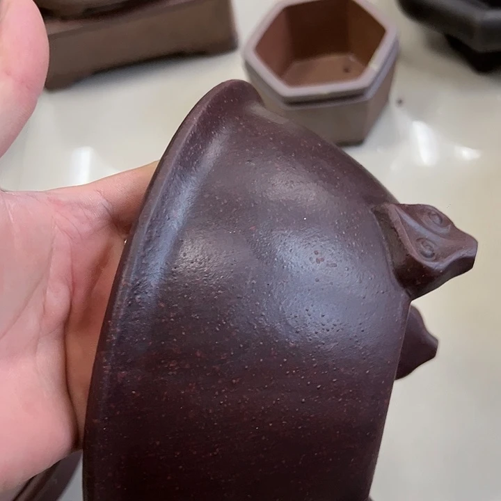 红陶20CM（含）-50CM（不含）
