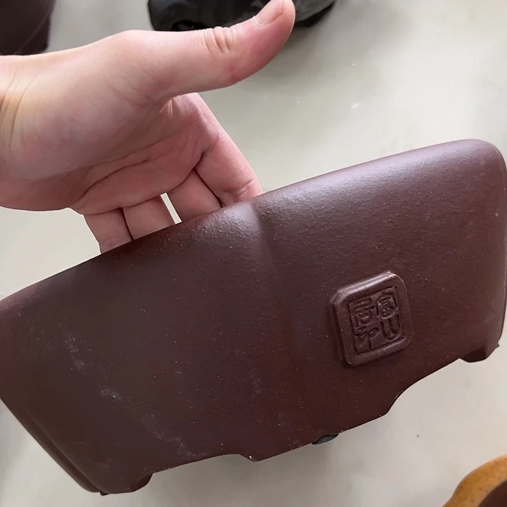 红陶20CM（含）-50CM（不含）