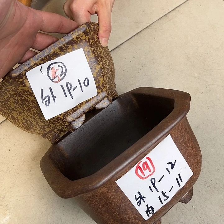 红陶20CM（含）-50CM（不含）冰*蓝