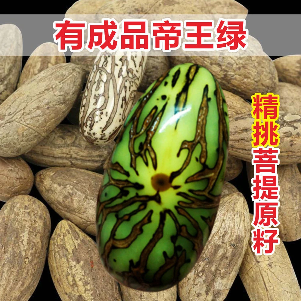 优选千眼菩提子吊坠佛心果原籽老料彩果自然果实饰品