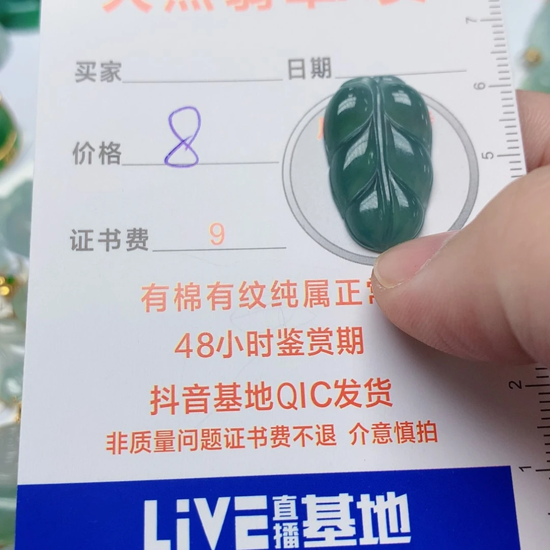 【闪购商品】翡翠颈饰未镶嵌