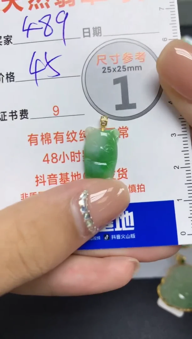 【闪购商品】翡翠颈饰18K金镶嵌 天然A货翡翠