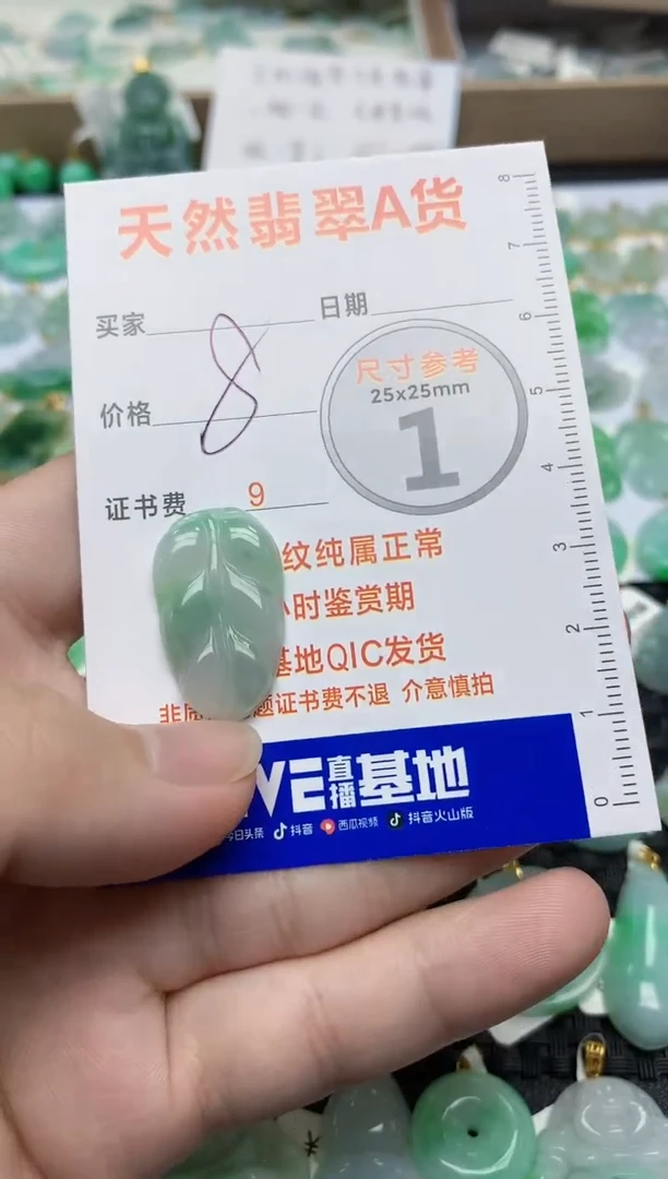 【闪购商品】翡翠颈饰未镶嵌4