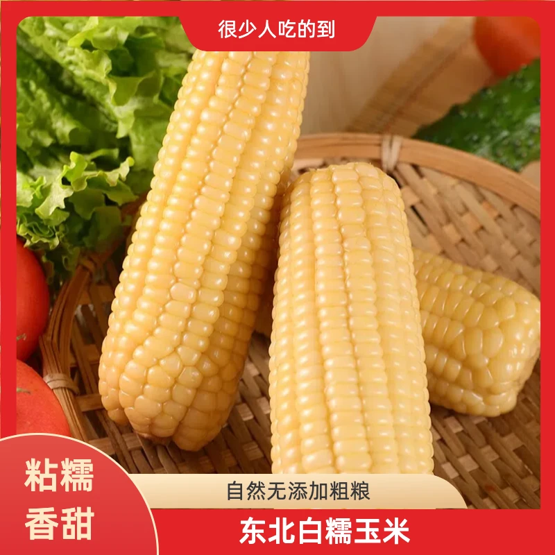 [丰收季]2024新产东北白糯玉米十根260g起香甜软糯拉丝玉米健康