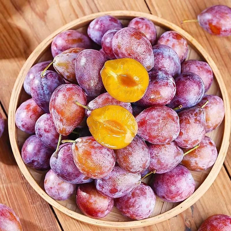 【3斤】新疆空运爆甜西梅带箱0斤左右 仅限长治市区购买