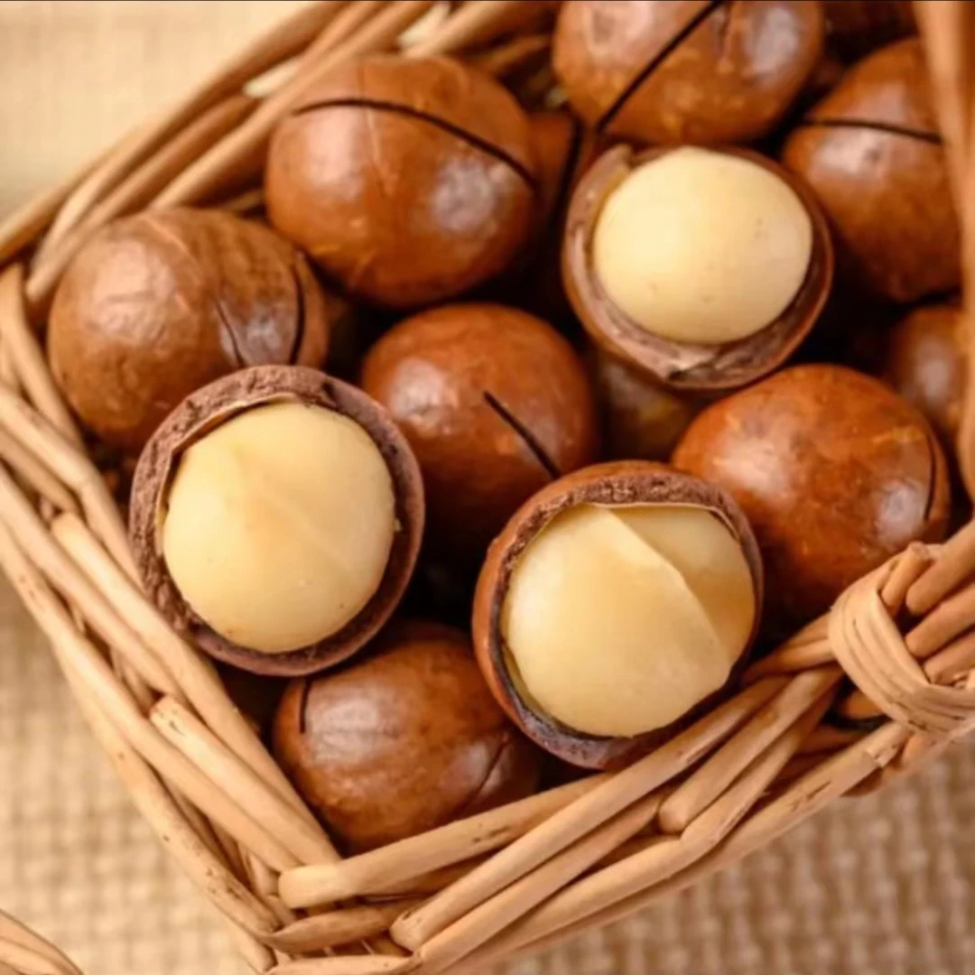 【送货上门】夏威夷果1斤装仅限4区8县购买