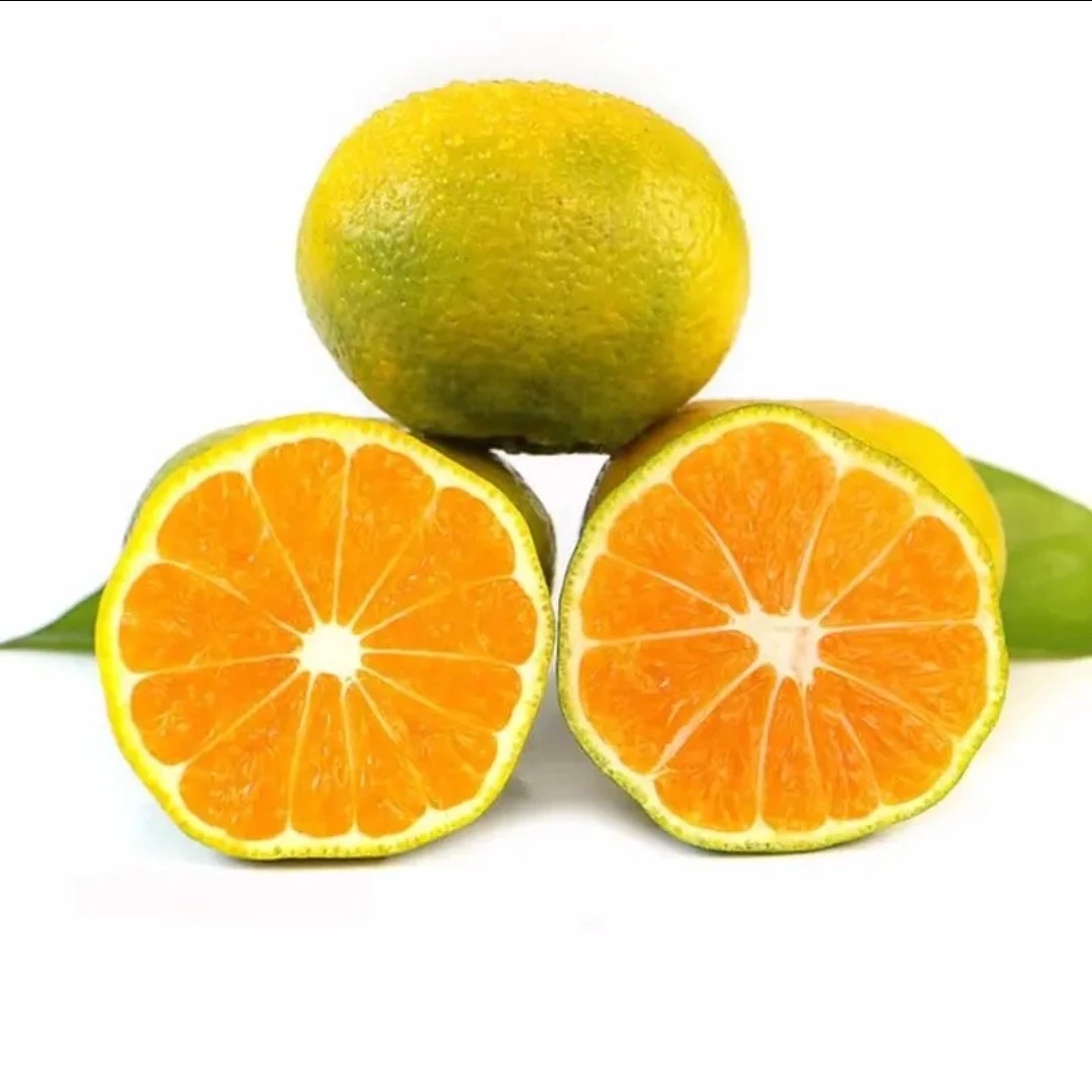 【散装6斤】东江湖蜜橘6斤装 仅限长治地区购买