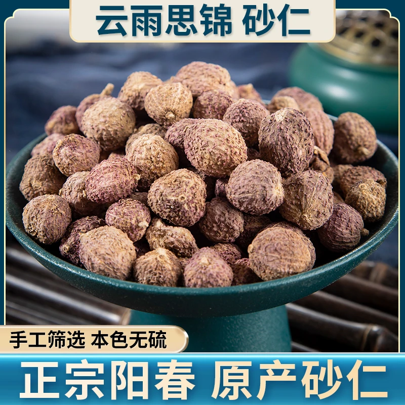 砂仁 阳春砂净重量120克 道地产区干净无杂滋补养生精选当季新货