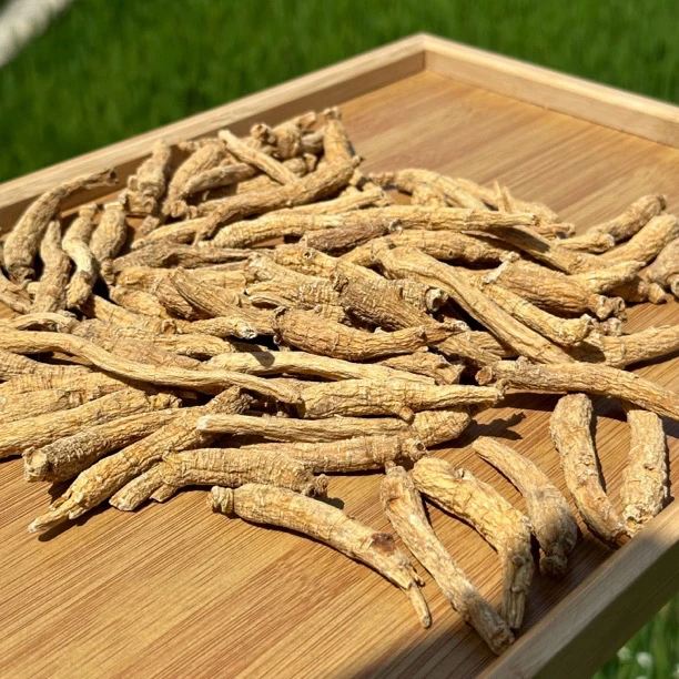 【云舍山甄】现收土特产 西-洋-参500克 ---------- 可搭配枸杞