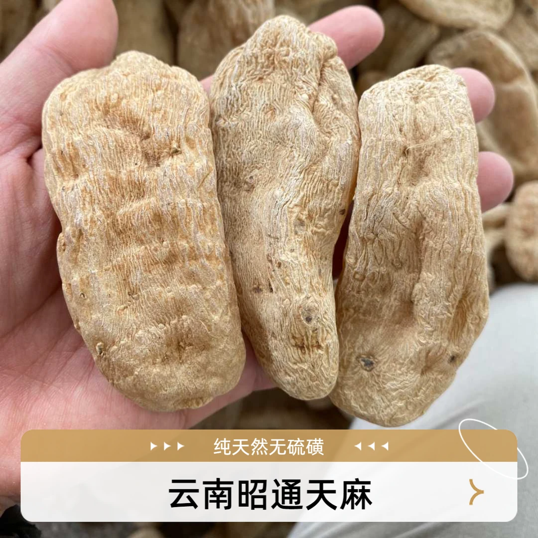 云南昭通小草坝特级无硫天麻天然500g正品可打粉切片