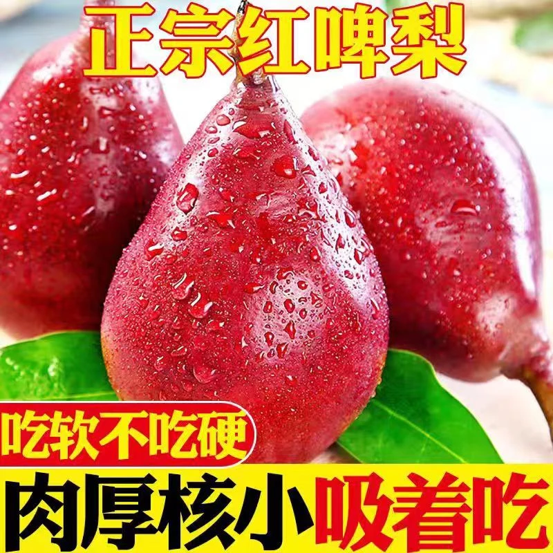 正宗红啤梨当季新鲜水果红皮梨软糯香甜产地直发果园现摘催熟食用